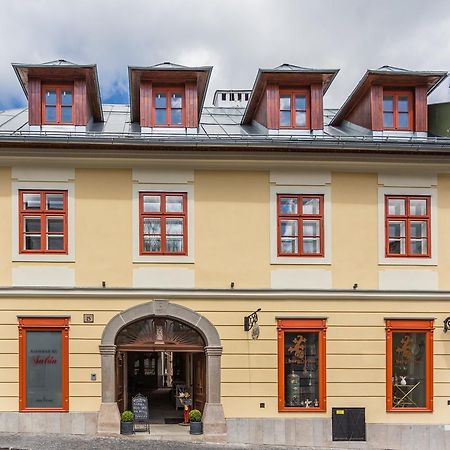 Dom Berg Daire Banská Štiavnica Dış mekan fotoğraf